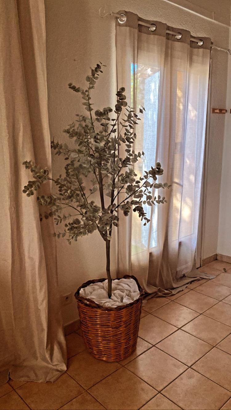 شقة Le Mas Du Bosc موجيو المظهر الخارجي الصورة